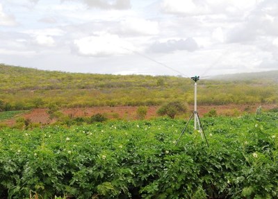 Tecnologias de irrigação