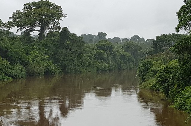 Araguaia