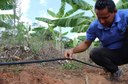 Kit de irrigação Alagoas