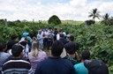 Dia de campo em Sergipe