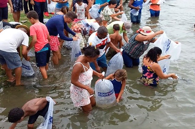 Peixamento Alagoas