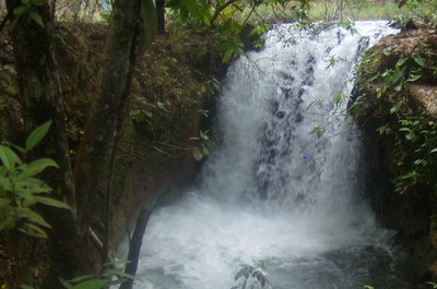 Nascentes Bahia