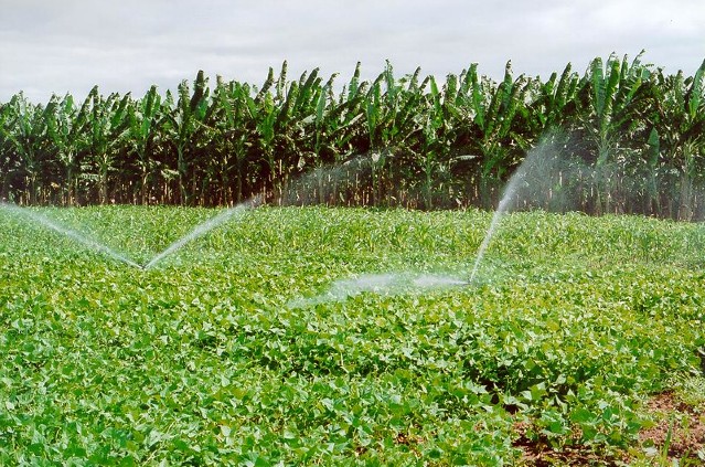 Projetos de irrigação