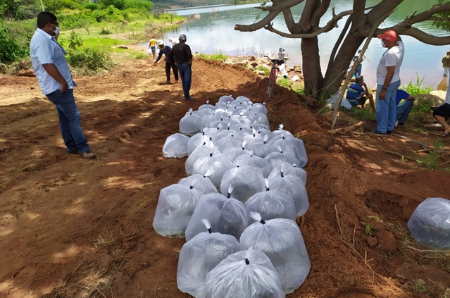 Peixamento na barragem de Ceraíma.jpg