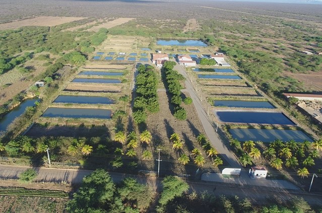  Codevasf moderniza estrutura do Centro Integrado de Recursos Pesqueiros e Aquicultura de Xique-Xique.jpg