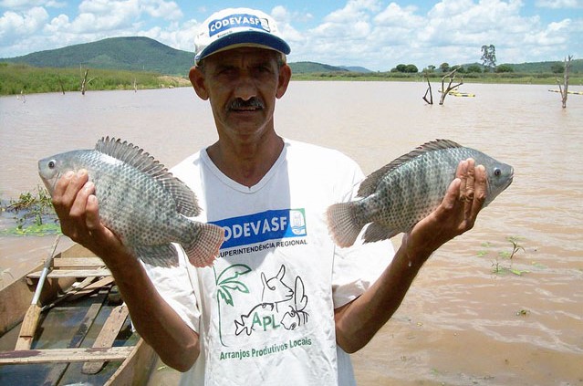 Encontro Piscicultura Piauí