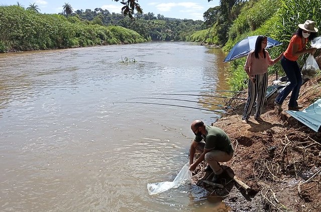 Peixamento em área de Brumadinho