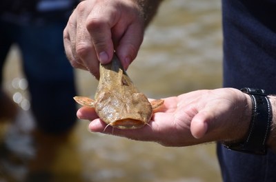 Dia do Pescador