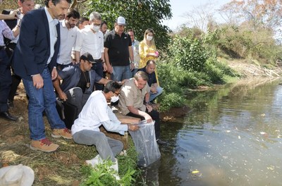 Peixamento no rio Urucuia (MG)