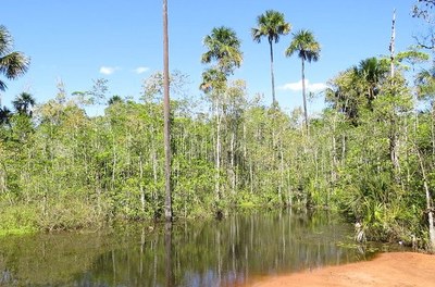 Revitalização MG