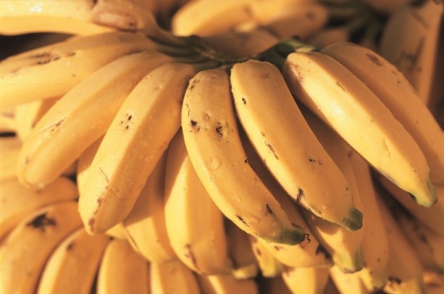 Balanço de irrigação - banana