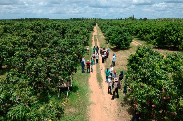 Visita técnica MDR à Juazeiro