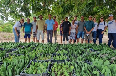 Codevasf e Incra incluem assentamentos de Alagoas em projeto de palma forrageira resistente à cochonilha 2.jpg