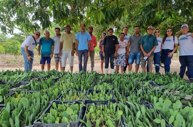 Codevasf e Incra incluem assentamentos de Alagoas em projeto de palma forrageira resistente à cochonilha 2.jpg