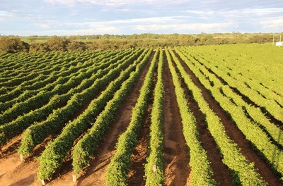 Governo Federal realiza roadshow para apresentar o Projeto Hidroagrícola Jequitaí (MG).jpg