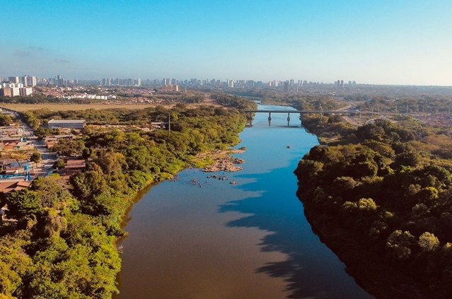 Codevasf e Prefeitura de Teresina estimam plantio de 1,4 milhão de árvores na capital piauiense.jpeg