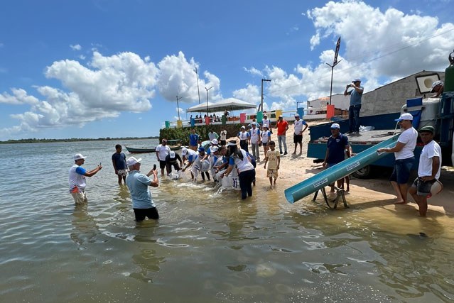 Peixamento Ilha Gararu