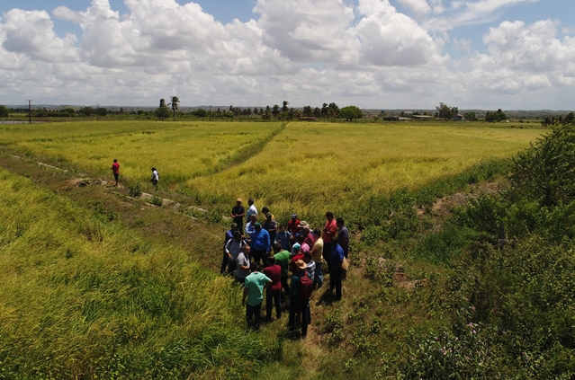 Codevasf promove palestra sobre controle de arroz daninho para produtores de Sergipe e Alagoas.JPG