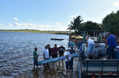 Peixamento Campo de Brito SE