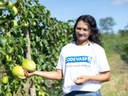 Agricultores de Goiás adotam sistemas de irrigação e devem colher mais de 25 toneladas de frutas por hectare2.jpeg