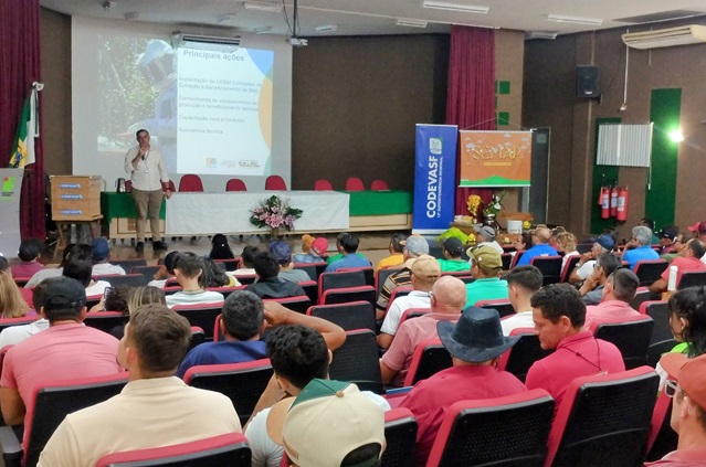 Seminário Apicultura RN 01