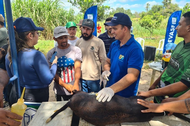 Curso caprino PI