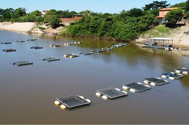Piauí capacitação piscicultura