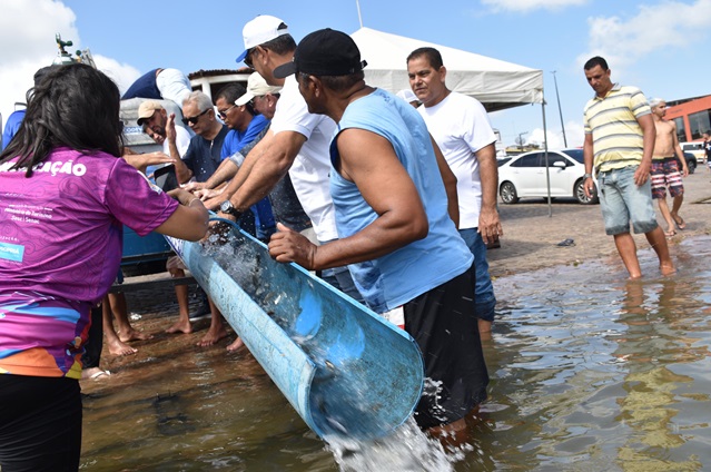 Peixamento SE 01
