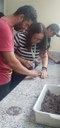 curso producao mudas (3).jpeg