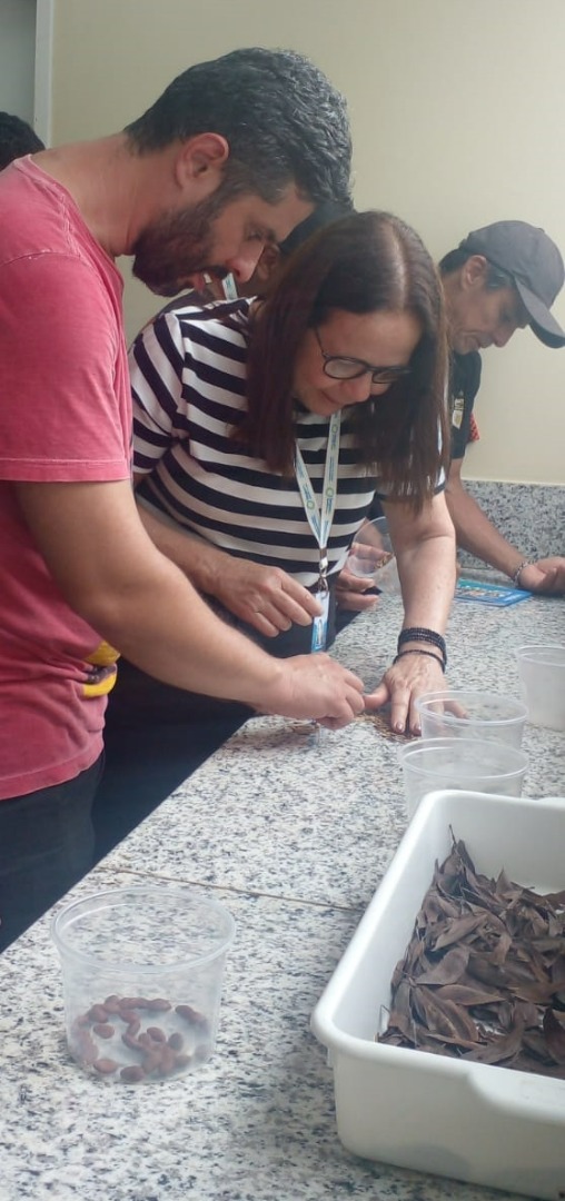 curso producao mudas (3).jpeg