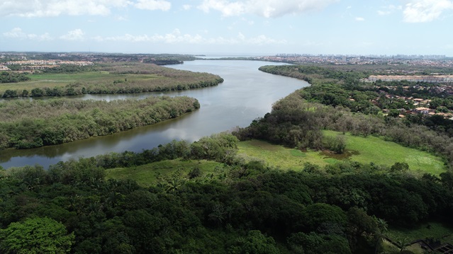 Plantio São Luis 03