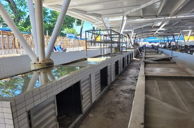 Convênio entre Codevasf e Prefeitura do Recife avança implantação de novo pátio da Feira de Casa Amarela.jpeg