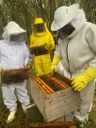Curso capacita jovens do sertão pernambucano para produção de Hidromel 3.jpeg