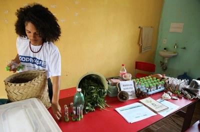 Jovens da zona rural no Maranhão são capacitados para manejo alternativo de pragas na horticultura 2.JPG