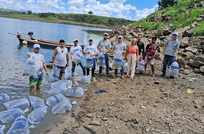 Peixamento insere 30 mil peixes nativos na Barragem do Boacica no período de defeso.jpg