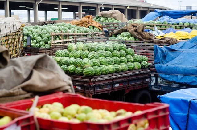 Projetos de irrigação da Codevasf produziram 4,11 milhões de toneladas de alimentos em 2023 - CAPA.jpg