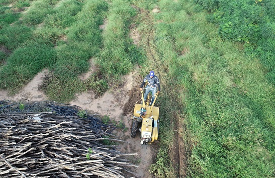 capacitação_arapiraca
