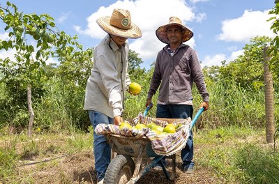 Aplicativo irrigar para desenvolver