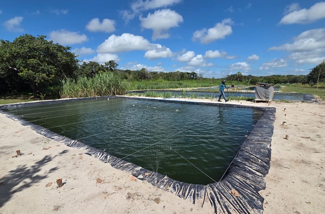Dia de Campo tanque PI