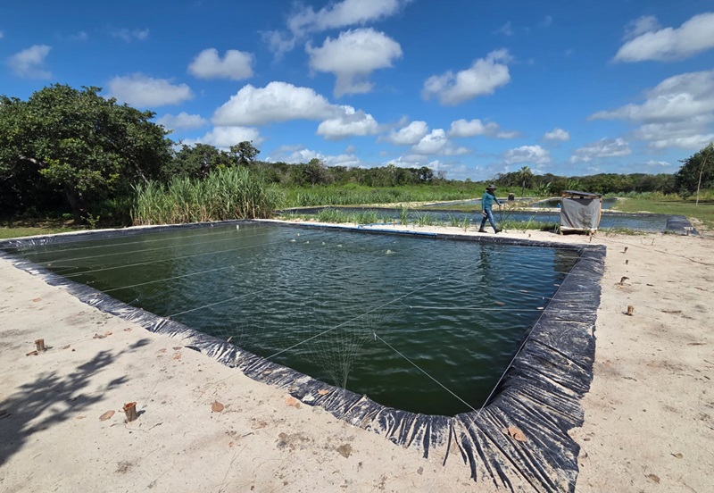 Dia de Campo PI Tanque