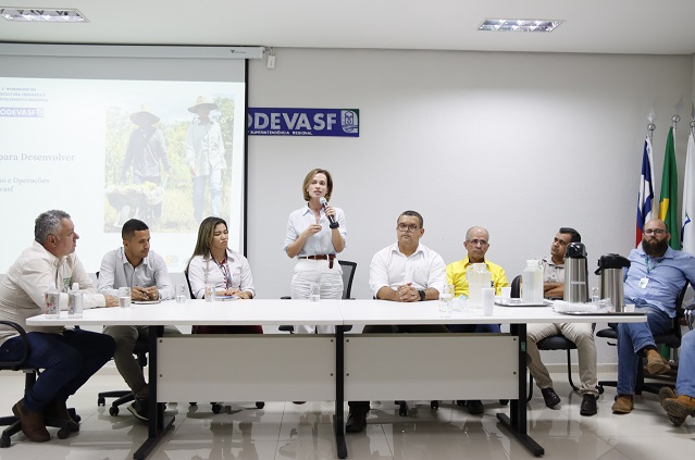 irrigar para desenvolver