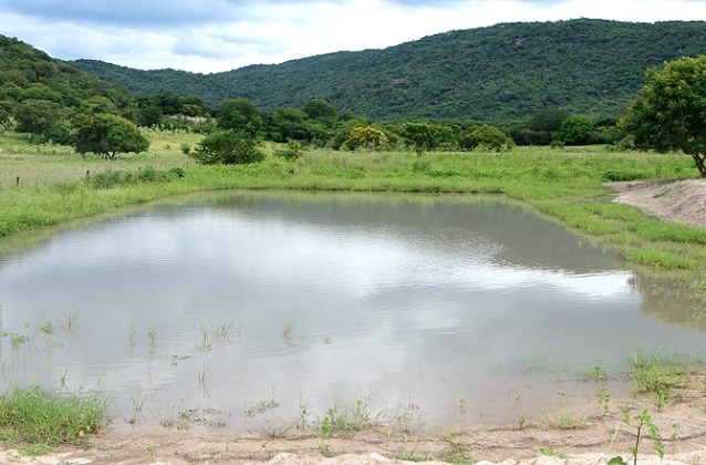 Aguadas