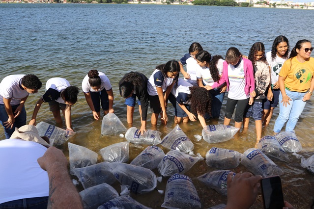 Petrolina MA 02