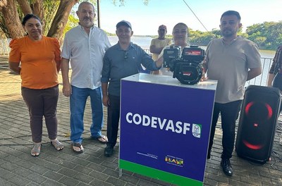 Motores de rabeta