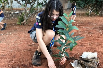 Educação Ambiental MG 01