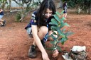 Educação Ambiental MG 01