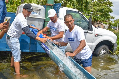 Peixamento da Codevasf no município de Neópolis (SE)