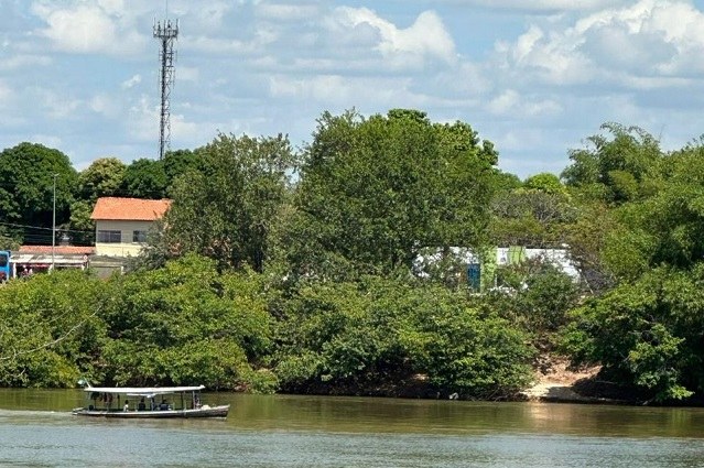 Treseina 1