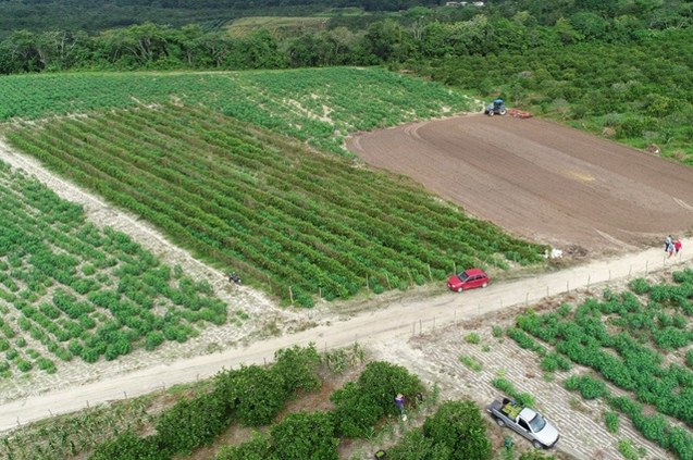 Investimento da Codevasf fortalece agricultura familiar em Sergipe