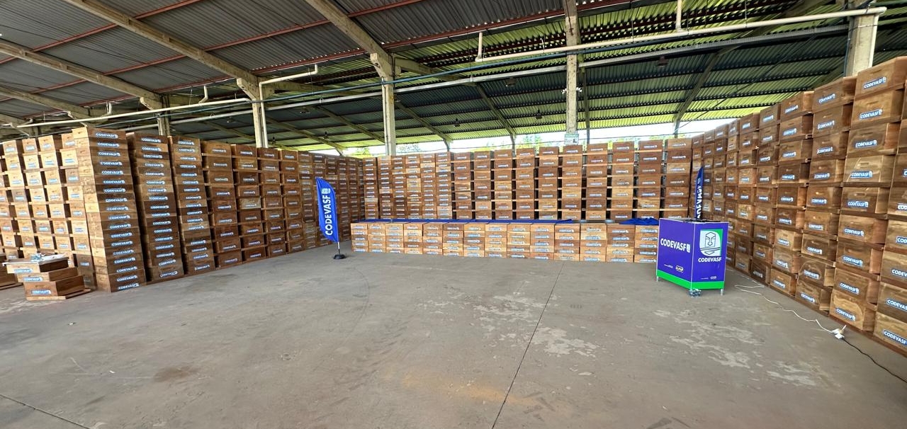 Maior entrega de colmeias do Piauí deve gerar aporte de 500 toneladas-ano de mel 1.jpeg